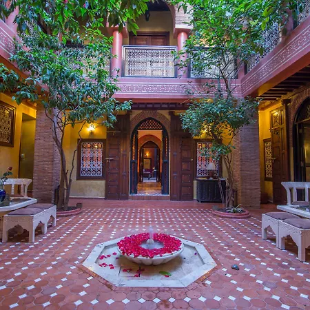 Riad Samsli-3